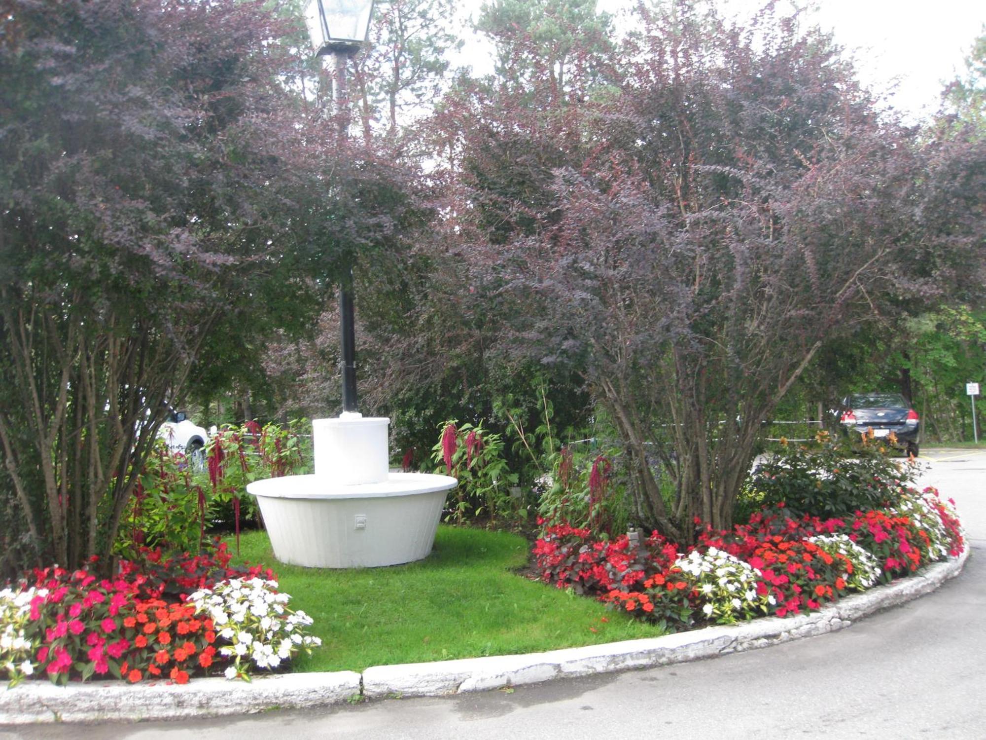 Glynmill Inn كورنر بروك المظهر الخارجي الصورة